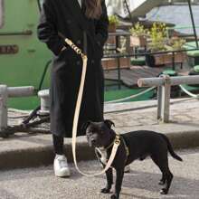 1 件手工编织双色 PVC 材料牵引绳，二合一设计，免提跑步狗绳，复古奢华风格狗绳 - 彩色 - 查看 7