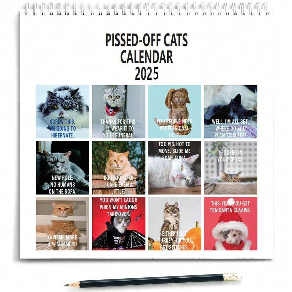 2025 Angry Cat Creative Calendar SHEIN UK