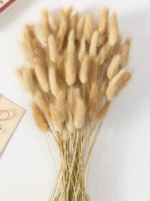 MEHELANY 每盒55-60根，随机发货，16.5英寸卡其色人造兔尾草，家居装饰人造兔尾枝，适用于波西米亚风格插花、DIY手工、家居厨房和婚礼装饰、圣诞节和感恩节装饰、DIY花环装饰 - 卡其色 - 查看 5