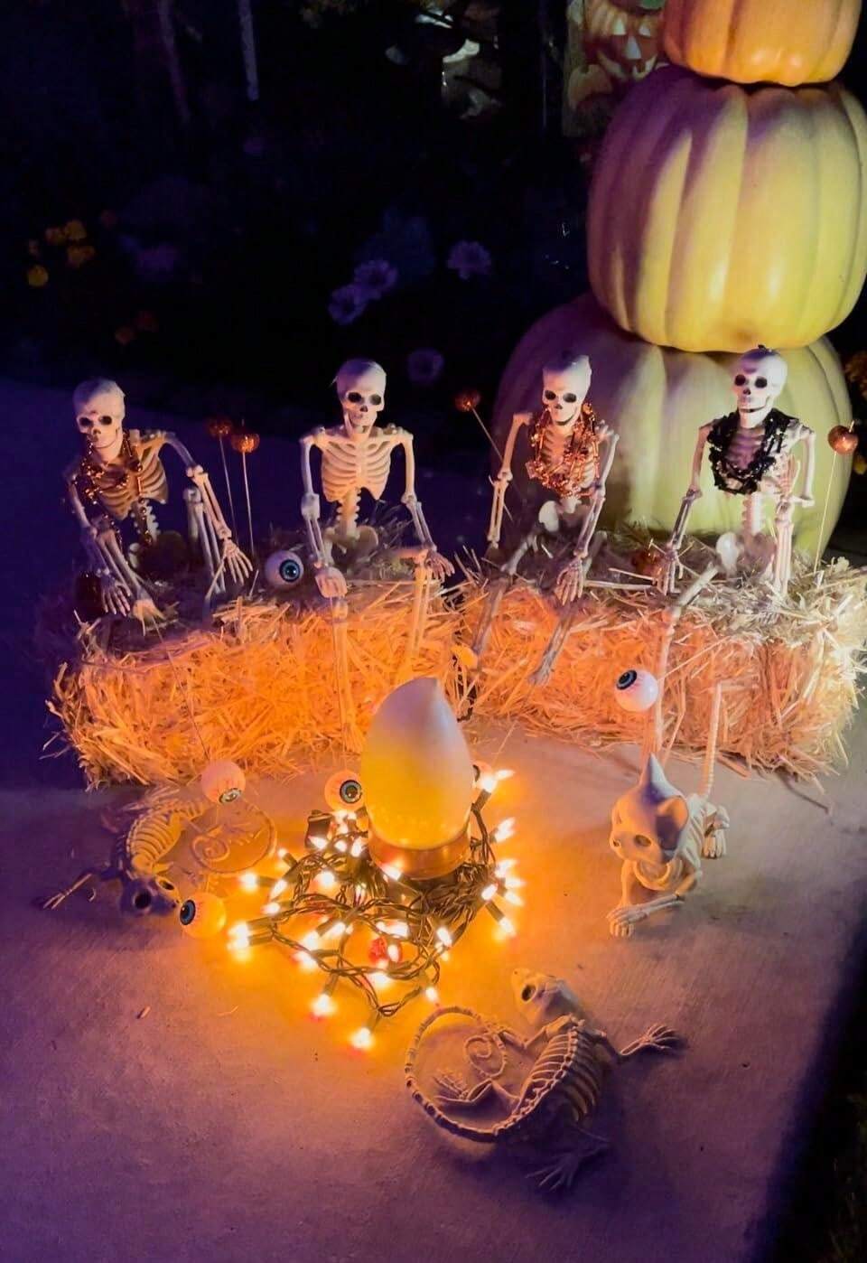 Squelette D'Halloween 165 Cm Avec Articulations Mobiles - Décoration Effrayante Grandeur Nature Pour Jardin, Maison, Fêtes - Résistant Aux Intempéries