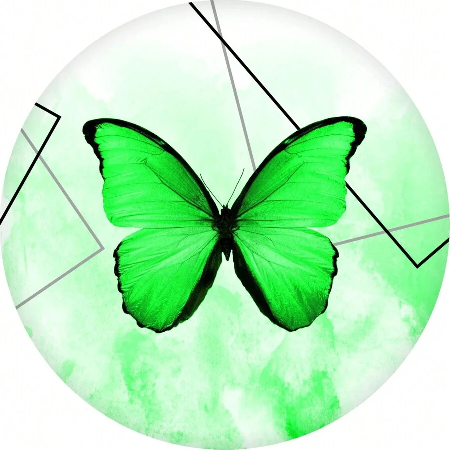 50 4cm Butterfly Label Stickers - 青檸色 - 查看 1