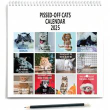 2025 Angry Cat Creative Calendar - Single Piece - View 3