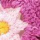 Pink Purple