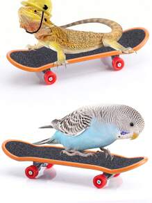 1 件鹦鹉、乌龟、蜥蜴主题滑板训练玩具，图案和颜色随机