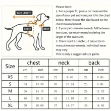 Chihuahua, Pets, Cats, Dogs, Dog Clothes, Puppy Dog, Chihuahua Dog Clothes, Kitten Supplies, Cute Bear Dog Cardigan Sweater Suitable For Medium And Small Male And Female Dogs And Cats, Pet Dog Winter Coat, Soft Knitted Clothing - White - View 3