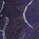 Azul Marino
