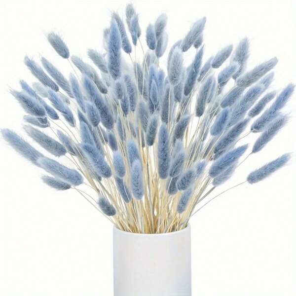 100pcs Natural Lagurus Ovatus Dried Flowers - Gray Blue Pampas Grass For Home Decor, Weddings, Parties& Holiday Celebrations Best Gifts Birthday Graduation