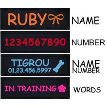 2 Pieces Personalized Pet Traction Harness Hook And Loop, Dog Name Badge ID Card, Custom Pet Collar Leash And Harness Set For Dogs And Cats, Anti-Lost Engraved Pet ID Name Pendants, Available In Multiple Colors - Multicolor - View 4