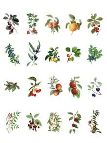 40pcs/Pack Garden Plant & Flower Themed PET Stickers, Scrapbooking Decoration Material,School Supplies,Back To School