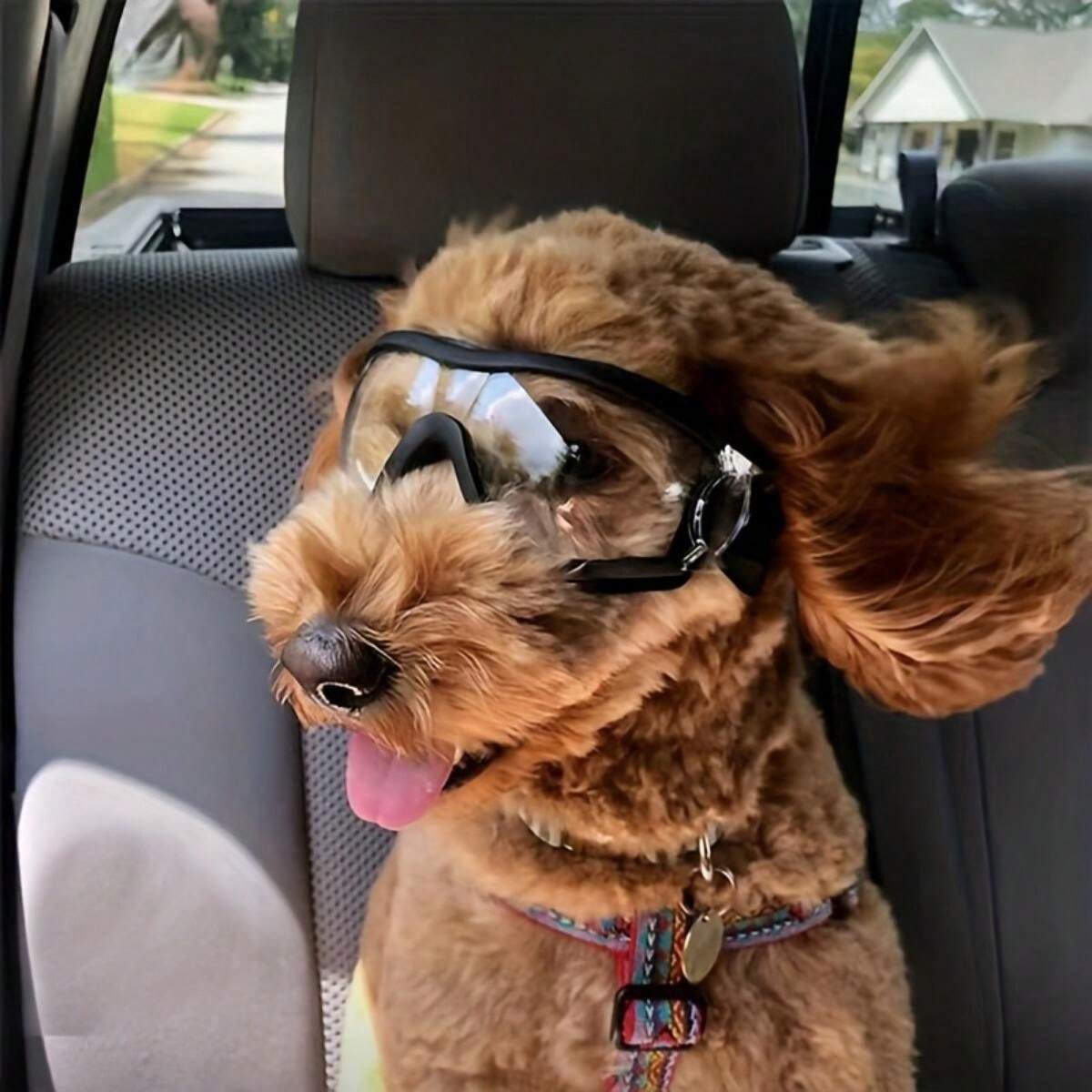 Occhiali Protettivi UV per Cani – Protezione Solare e Stile per il Tuo – Dog Moda Occhiali Protettivi UV per Cani – Protezione Solare e Stile per il Tuo – Dog Moda