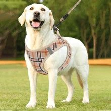 MoNiBloom No Pull Dog Harness W/Leash Set, Reflective Soft Puppy Padded Vest For Walking, Training, Easy To Put On Medium Dogs - 米色 - 查看 2