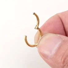 ADYJELY 2PCS Nose Ring Hoop 316L Surgical Steel Hypoallergenic Hinged Ring Cartilage Earring 16G 18G 20G Lip Ring,Clicker Ring Cartilage Hoop Rook Earring Tragus Septum Piercing Conch Daith Helix Earring Cartilage Hoop Earlobe Earring ,Belly Ring Nipple Ring Diameter 6mm 8mm 10mm 12mm Women's And Men's Body Pierecing Jewelry