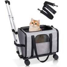透气可拆卸宠物托运拉杆箱，便携式猫咪旅行行李包 - 彩色 - 查看 12
