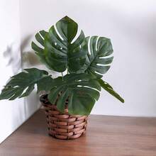 Brown Braided Vase Arrangement Kit + Artificial Green Adam's Rib Bouquet - Home Decor - Dark Green - View 3