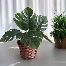 Brown Braided Vase Arrangement Kit + Artificial Green Adam's Rib Bouquet - Home Decor - Dark Green - View 5