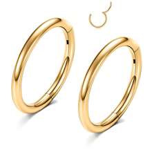 ADYJELY 2PCS Nose Ring Hoop 316L Surgical Steel Hypoallergenic Hinged Ring Cartilage Earring 16G 18G 20G Lip Ring,Clicker Ring Cartilage Hoop Rook Earring Tragus Septum Piercing Conch Daith Helix Earring Cartilage Hoop Earlobe Earring ,Belly Ring Nipple Ring Diameter 6mm 8mm 10mm 12mm Women's And Men's Body Pierecing Jewelry
