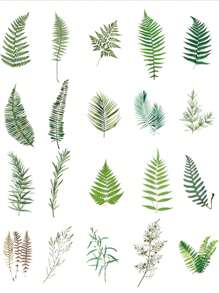 40pcs/Pack Garden Plant & Flower Themed PET Stickers, Scrapbooking Decoration Material,School Supplies,Back To School