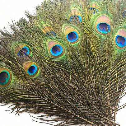 10pcs Faux Peacock Feathers Decoration Accessories For DIY Earrings, Home Decor Or Flower Arrangements,Fake Plants
