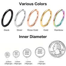 ADYJELY 2PCS Nose Ring Hoop 316L Surgical Steel Hypoallergenic Hinged Ring Cartilage Earring 16G 18G 20G Lip Ring,Clicker Ring Cartilage Hoop Rook Earring Tragus Septum Piercing Conch Daith Helix Earring Cartilage Hoop Earlobe Earring ,Belly Ring Nipple Ring Diameter 6mm 8mm 10mm 12mm Women's And Men's Body Pierecing Jewelry