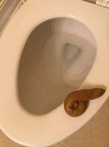 逼真的便便假便玩具噱头和恶作剧玩具愚人节恶作剧派对新奇搞笑、逼真、手、玩具、搞笑、恶作剧、假手、便便礼物、奇怪的东西>恶作剧玩具、搞笑礼物、玩具、搞笑 - 棕色 - 查看 4