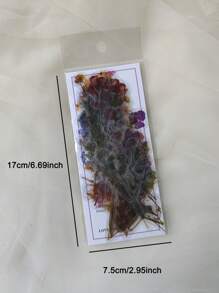 40pcs/Pack Garden Plant & Flower Themed PET Stickers, Scrapbooking Decoration Material,School Supplies,Back To School