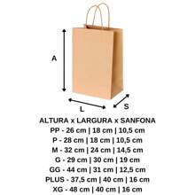 Plain Kraft Paper Bag 10 Units Choose Size - 10 PLAIN BAG SIZE XG - View 2