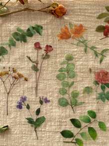 40pcs/Pack Garden Plant & Flower Themed PET Stickers, Scrapbooking Decoration Material,School Supplies,Back To School