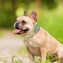 Vòng cổ cho chó bằng nylon họa tiết hoa 6 cánh, vòng cổ thú cưng được cá nhân hóa, có thể điều chỉnh và chống thất lạc - màu đen - Xem 11