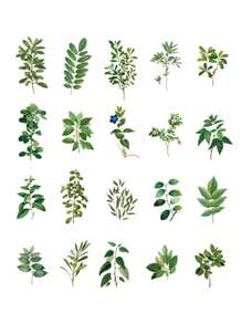 40pcs/Pack Garden Plant & Flower Themed PET Stickers, Scrapbooking Decoration Material,School Supplies,Back To School