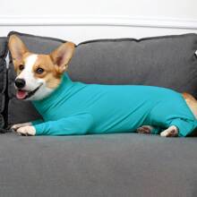 Dog Surgical Recovery Suit For After Surgery Pet Anti Shedding Bodysuit Long Sleeve Anxiety Shirt For Female Male Dog - Blue - View 4