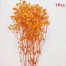 1 Bouquet Eternal Flowers & Baby's Breath Dried Flower Decor, Colorful Natural Dried Flower Mini Bouquet - Multicolor - View 9