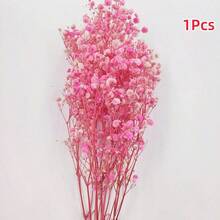 1 Bouquet Eternal Flowers & Baby's Breath Dried Flower Decor, Colorful Natural Dried Flower Mini Bouquet - Multicolor - View 13