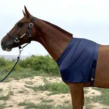 Horse Stretch Vest Anti Rub Bib Wither Shoulder Guard Horse Chest Saver Protector - Multicolor - View 4