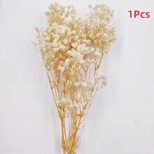 1 Bouquet Eternal Flowers & Baby's Breath Dried Flower Decor, Colorful Natural Dried Flower Mini Bouquet - Multicolor - View 12