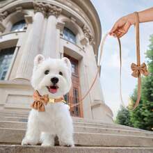 1 件尼龙蝴蝶结可调节宠物狗猫项圈和牵引绳套装，适合吉娃娃泰迪小型中型犬 - 棕色 - 查看 4