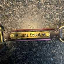 Customized Engraved Horse Bridle Nameplate - Stainless Steel Personalized ID Tag For Horse Bridle, Saddle And Collar - Durable Equestrian Equipment,Durable,Engraved,Colorful,Cute,Adorable,Funny,Kawaii,Y2K,Stylish,Unisex,Casual,Custom,Personalized,Unique,Customized,Ideal Gifts For Him,Ideal Gifts For Her,Her,Boyfriend,Girlfriend,Family,Friends,For Anniversaries,For Valentine's Day,For Mother's Day,For Birthdays,For Children's Day,For Father's Day,For Graduation,For Weddings,For Housewarming - Multicolor - View 12