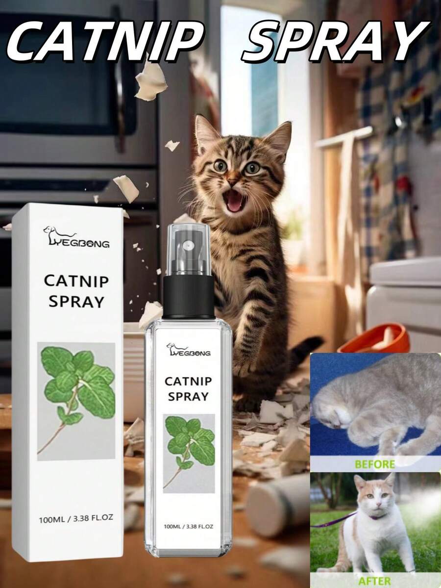 Boules à La Menthe Pour Chat - 10 Cm, Jouets à Lécher, Sains Pour Les Dents, Arôme Naturel - 6