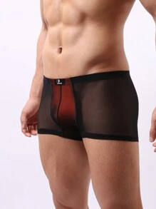 1pc Sexy Men's Sheer Mesh Backless Briefs - Black - View 1