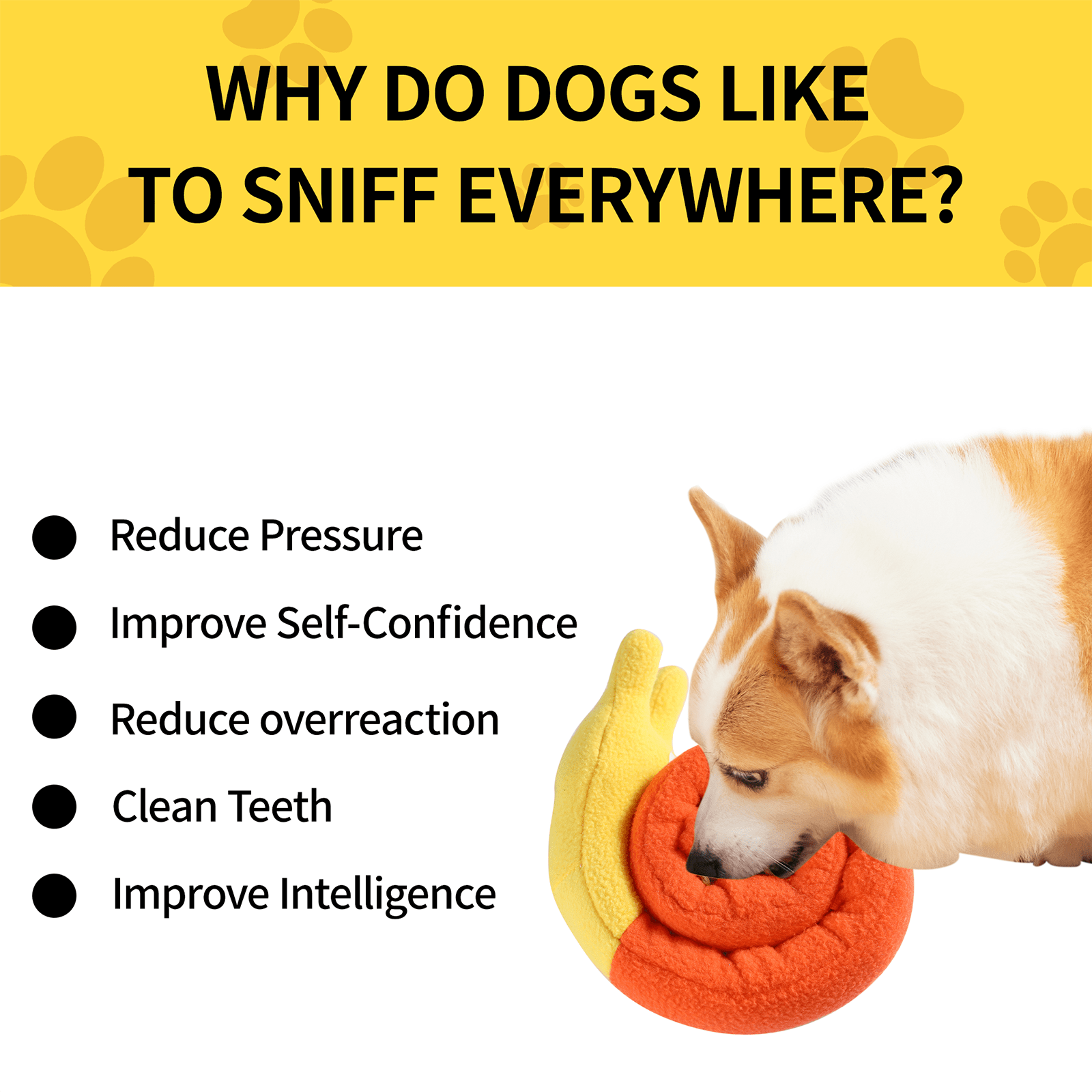 Hide And Seek Snail Dog Toys,Dog Snuffle Toy Snail Interactive Puppy