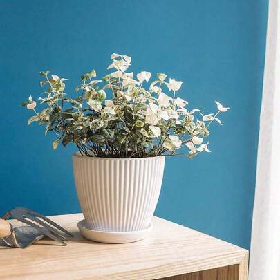 1个带托盘的塑料花盆，室内种植盆，3种不同尺寸的园艺容器，现代装饰植物盆