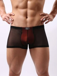 1pc Sexy Men's Sheer Mesh Backless Briefs - Black - View 9