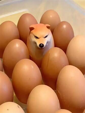 Shiba Inu Egg Cartoon Dog Doll - Plastic Animal Toy, Various Breed Sizes, No Battery Required - Collectible Novelty Shiba Inu Egg Mini Doll, Perfect For Play And Decoration