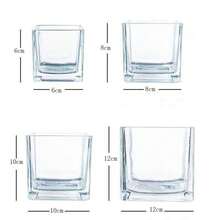 1 件方形玻璃水培花盆，透明绿萝玻璃容器，花瓶 - 無色 - 查看 9