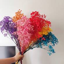 1 Bouquet Eternal Flowers & Baby's Breath Dried Flower Decor, Colorful Natural Dried Flower Mini Bouquet - Multicolor - View 2