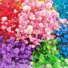 1 Bouquet Eternal Flowers & Baby's Breath Dried Flower Decor, Colorful Natural Dried Flower Mini Bouquet - Multicolor - View 3