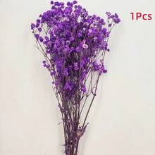 1 Bouquet Eternal Flowers & Baby's Breath Dried Flower Decor, Colorful Natural Dried Flower Mini Bouquet - Multicolor - View 15