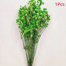 1 Bouquet Eternal Flowers & Baby's Breath Dried Flower Decor, Colorful Natural Dried Flower Mini Bouquet - Multicolor - View 16