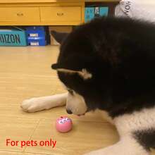 Cute Cartoon Dog Eye Sound Bite Puppy Toy Environmetally Friendly Latex Interactive Pet Toy Ball - Multicolor - View 9