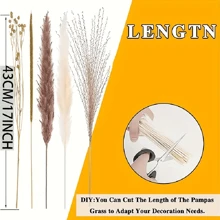 27/90pcs Boho Chic Dried Pampas Grass Bouquet - Perfect For Weddings, Home & Office Decor | No Power Needed, Featherless, Valentine's Day, Gift Gifts Birthday Graduation,Fall Decor,Autumn