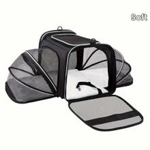 IISVGE 航空认证宠物航空箱，适用于体重低于 22 磅的猫狗。可折叠宠物航空箱，带口袋和可拆卸羊毛垫，便携式猫包，柔软宠物航空箱。小型猫狗专用柔软宠物旅行包，采用耐用牛津布和透气网布制成。宠物就医和户外探险背包，可水洗柔软床垫（宠物主人礼物/情人节礼物/万圣节礼物） - 彩色 - 查看 12